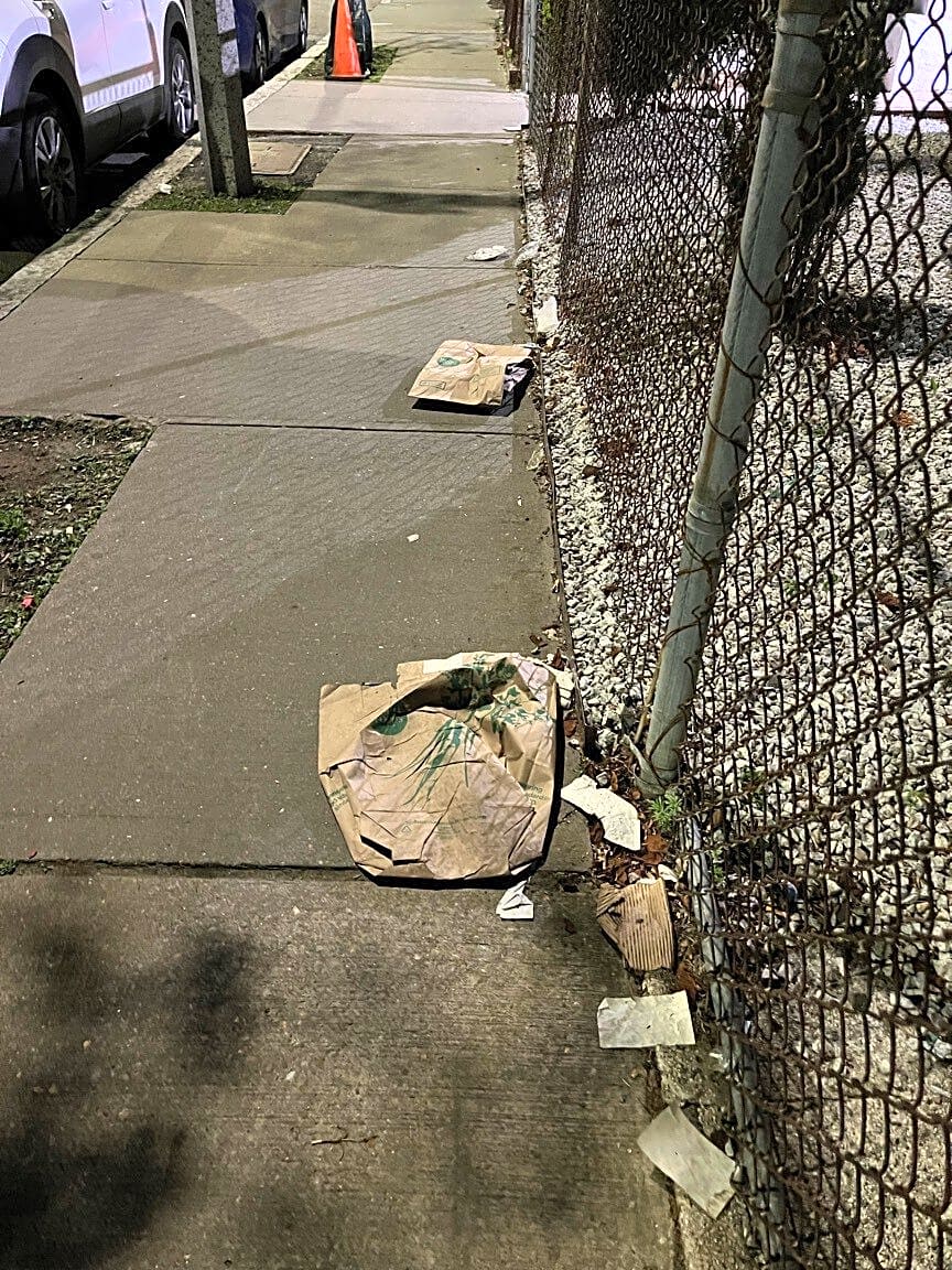 Image submitted with report