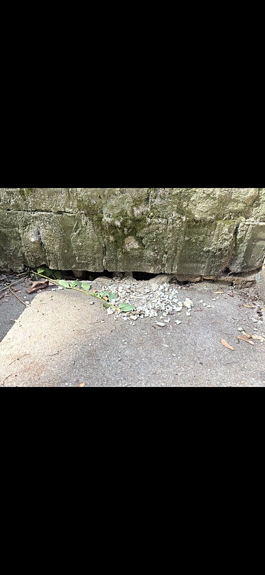 Image submitted with report