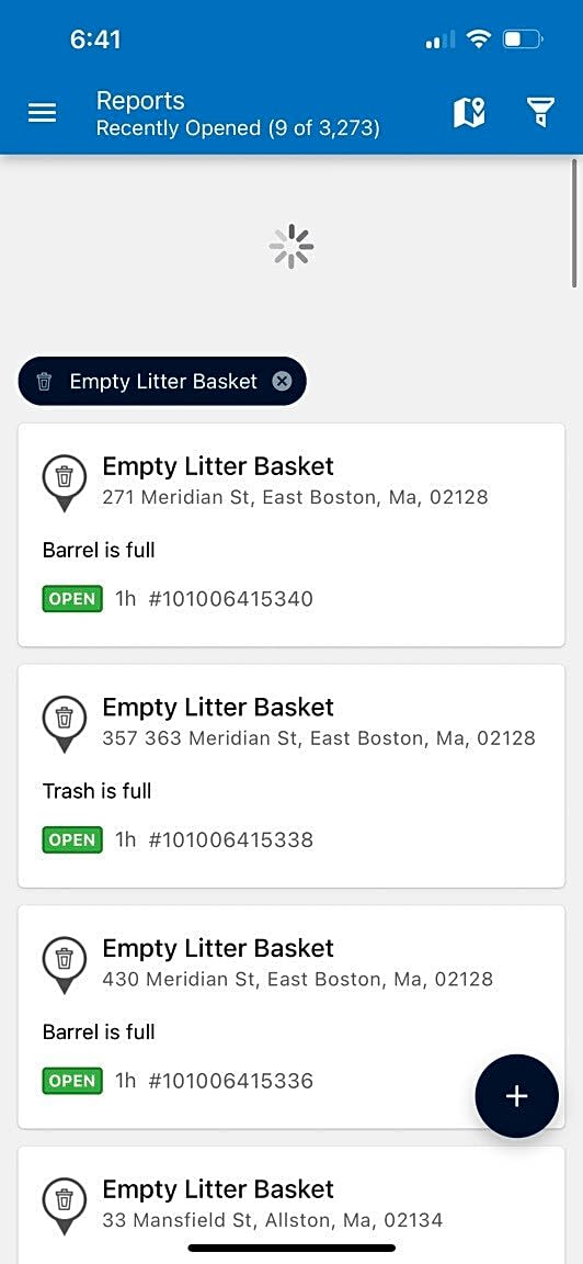 Image submitted with report