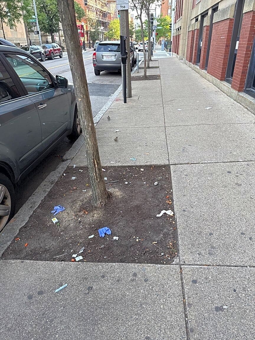 Image submitted with report