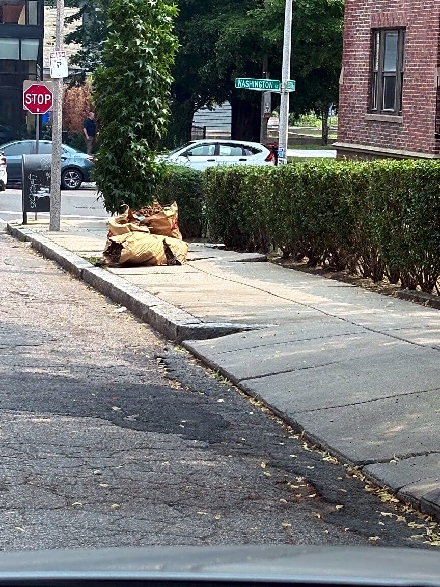 Image submitted with report