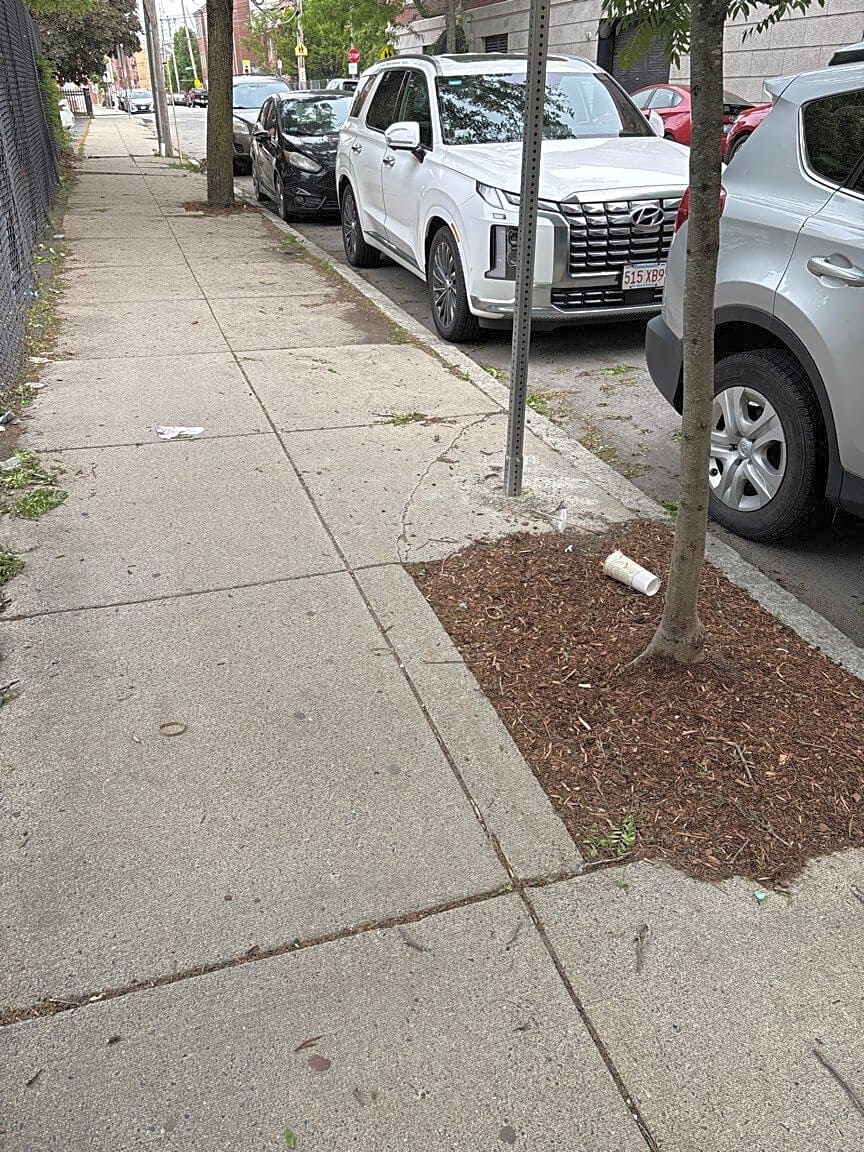 Image submitted with report