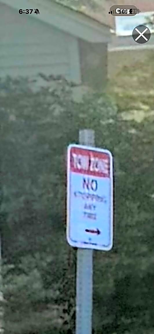 Image submitted with report