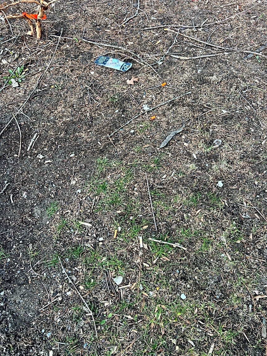 Image submitted with report