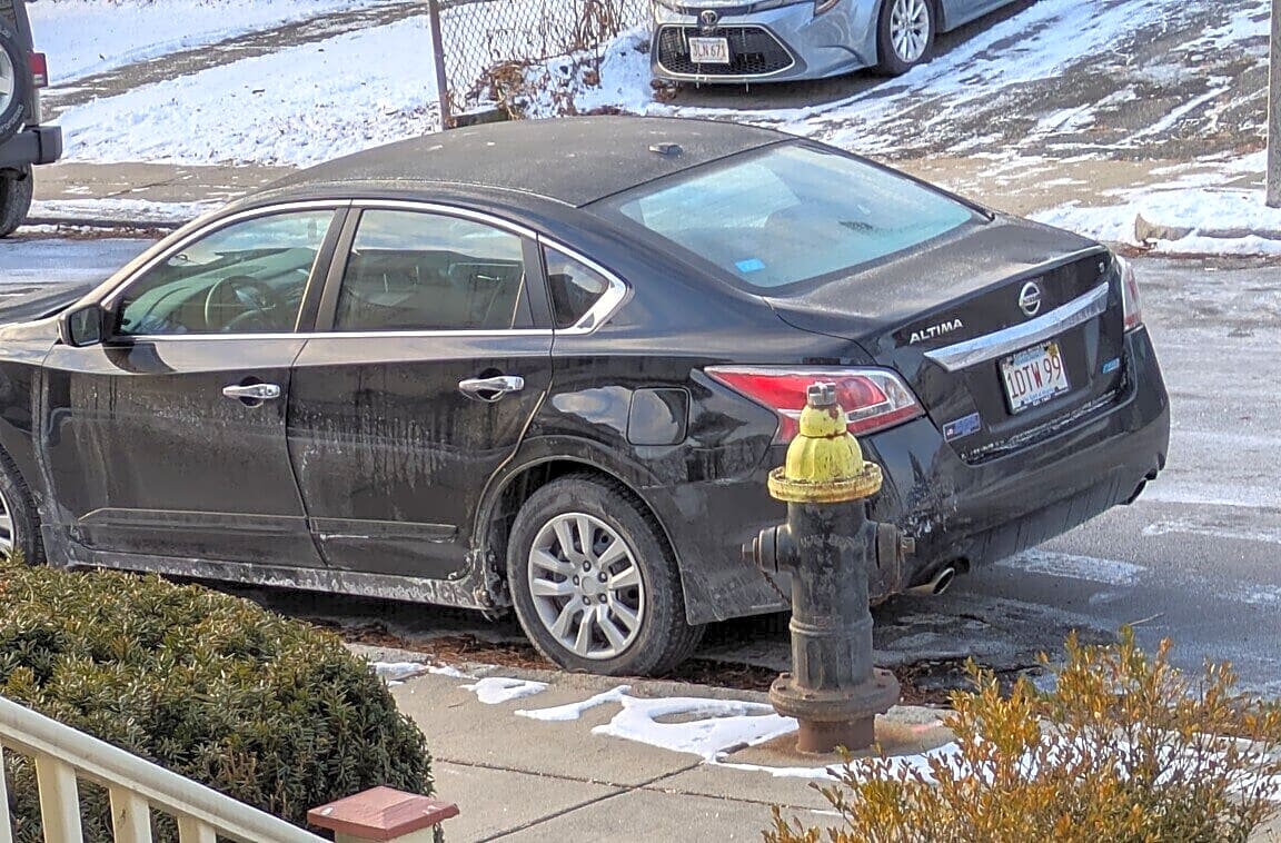 Image submitted with report