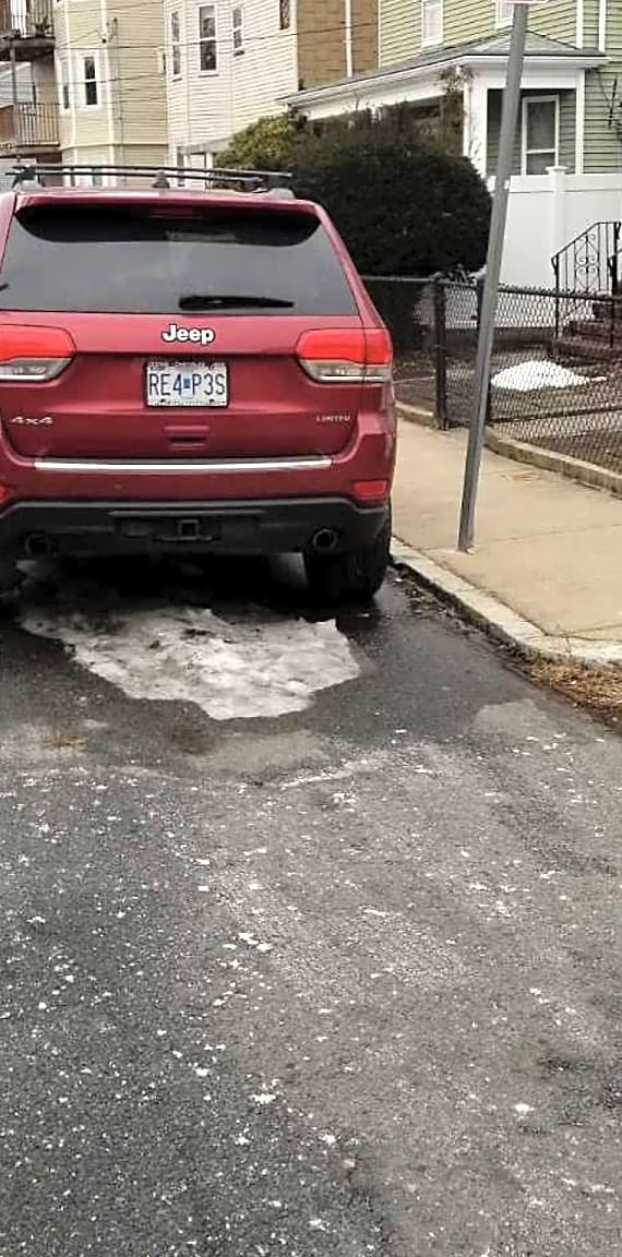 Image submitted with report