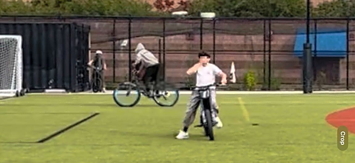 Image submitted with report