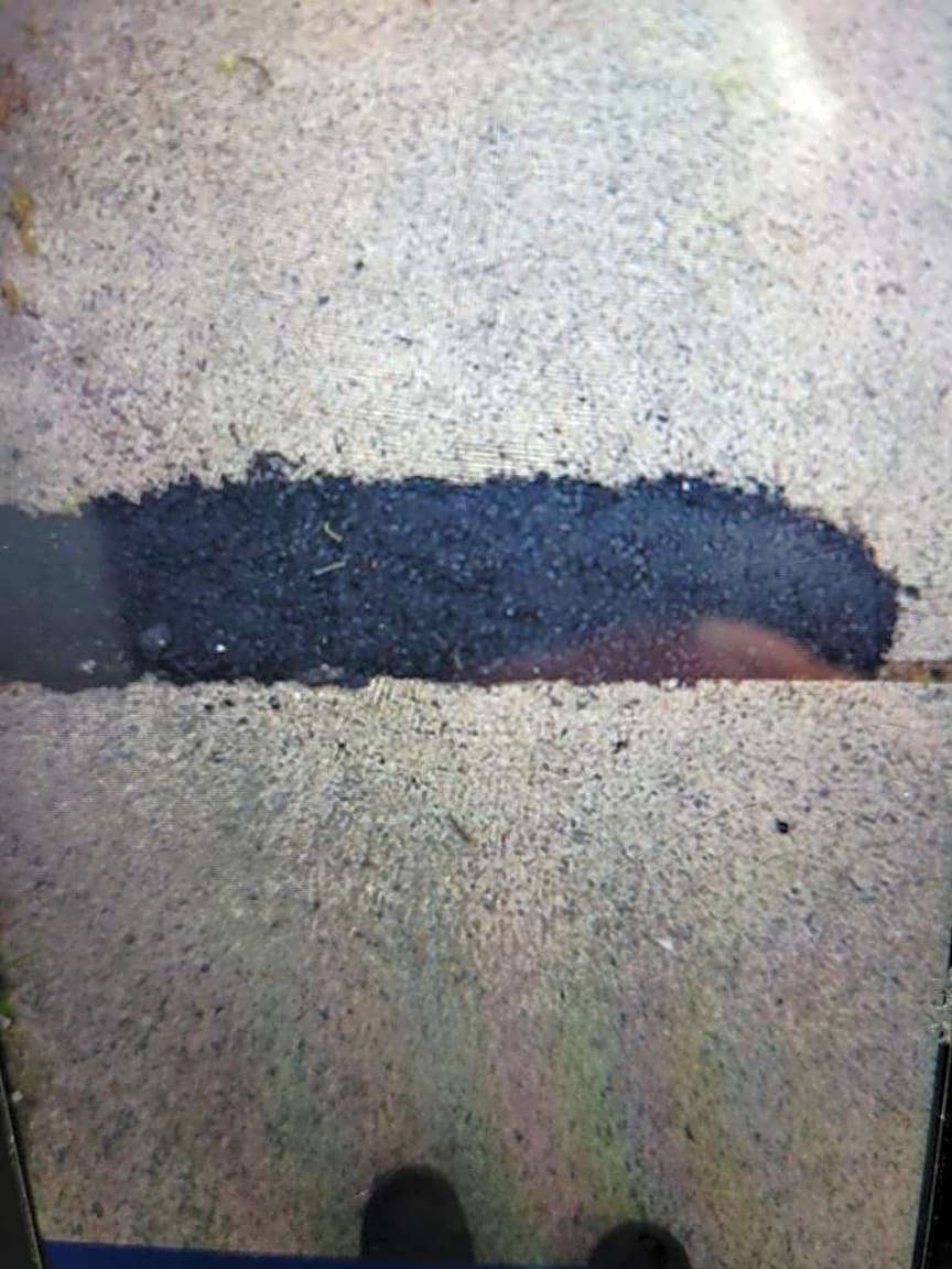 Image submitted with report