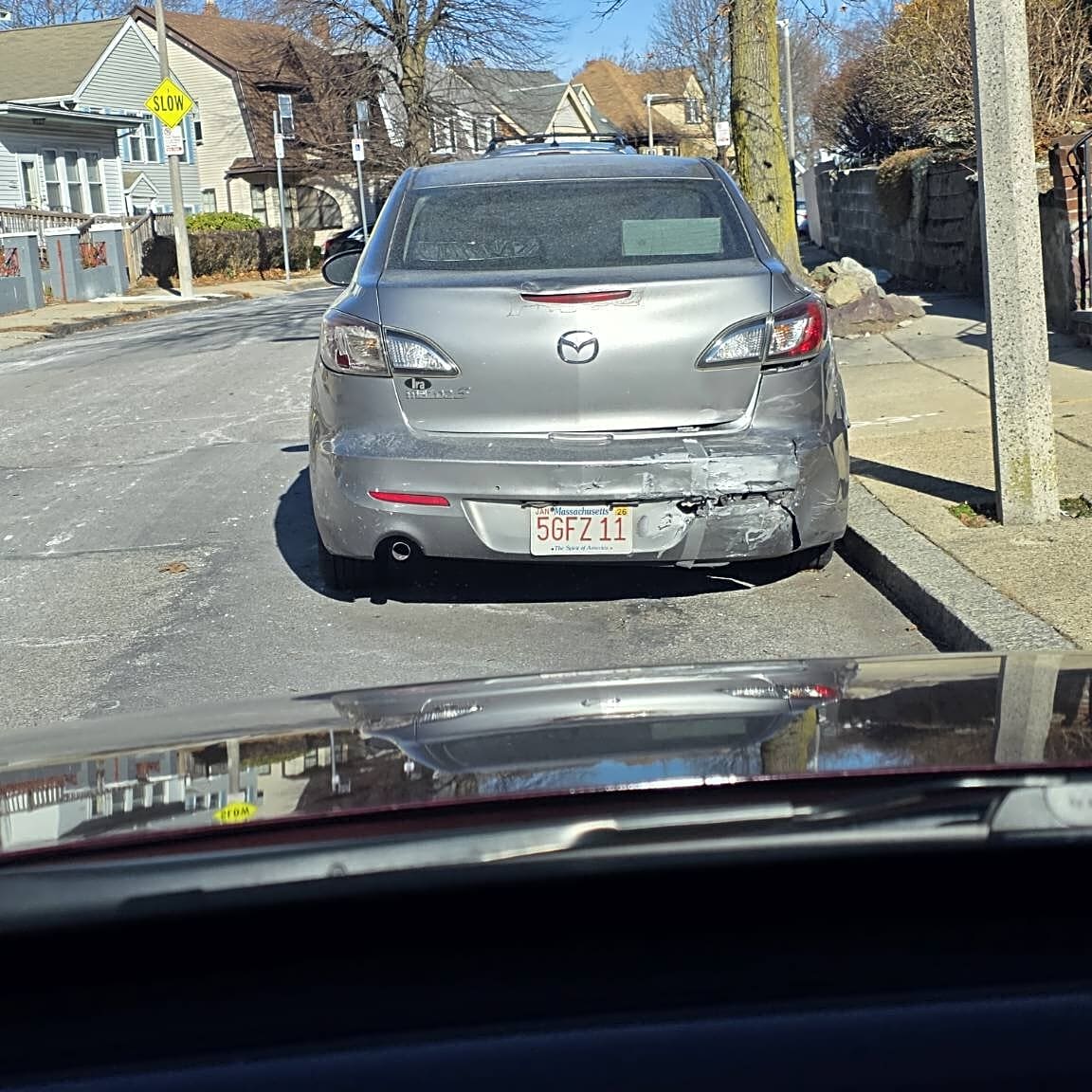 Image submitted with report