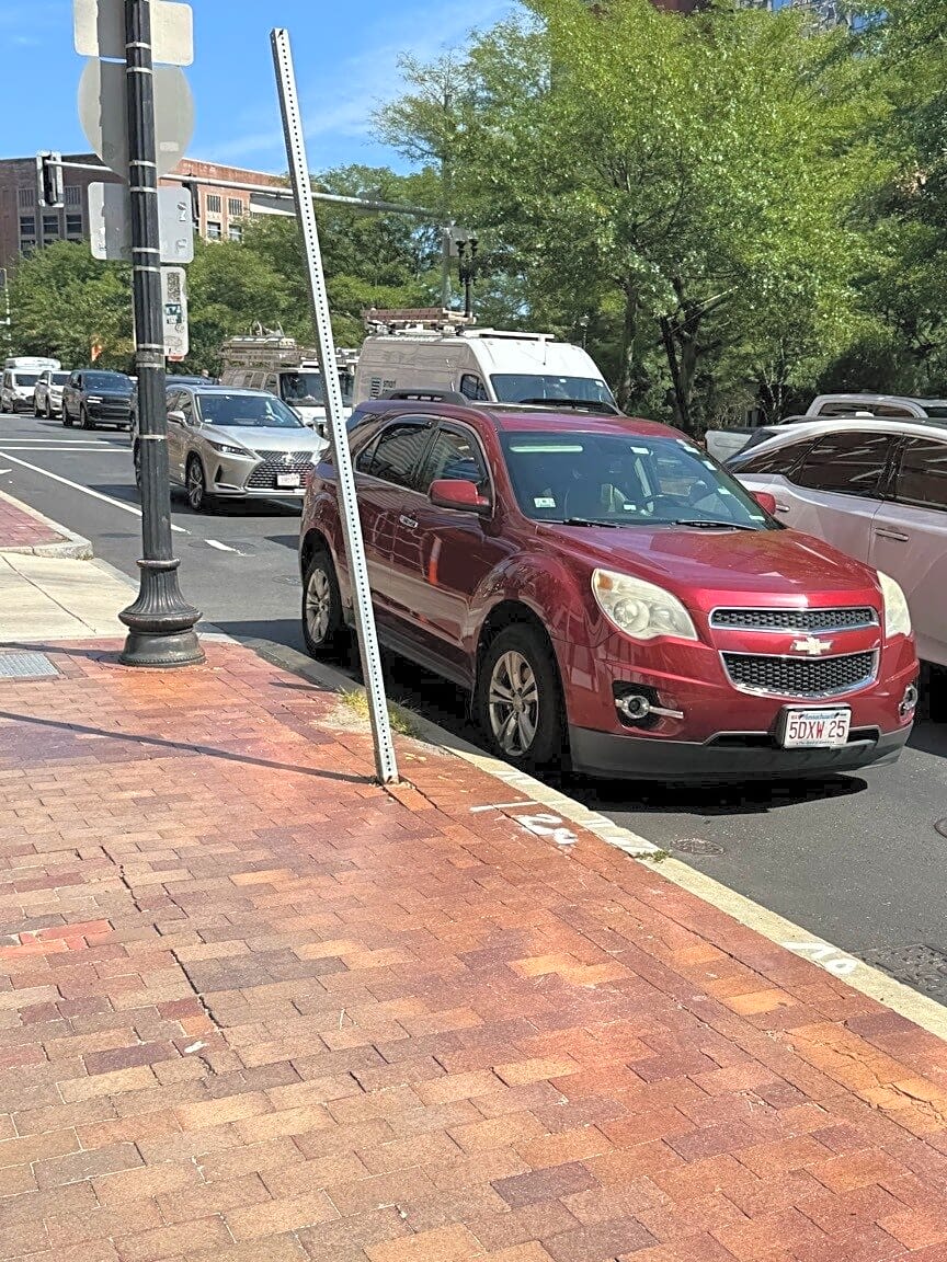 Image submitted with report