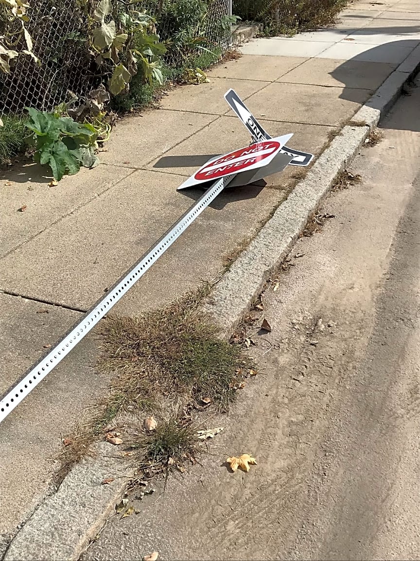 Image submitted with report