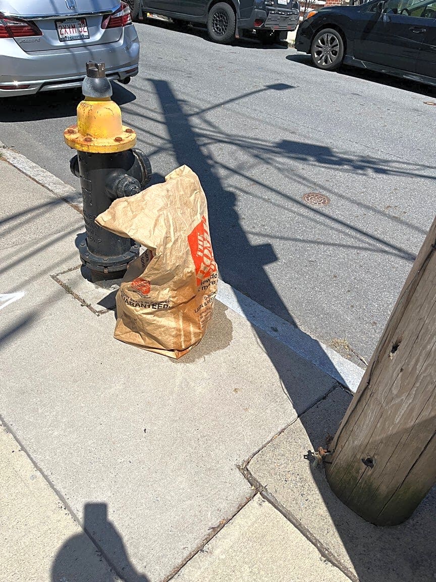 Image submitted with report