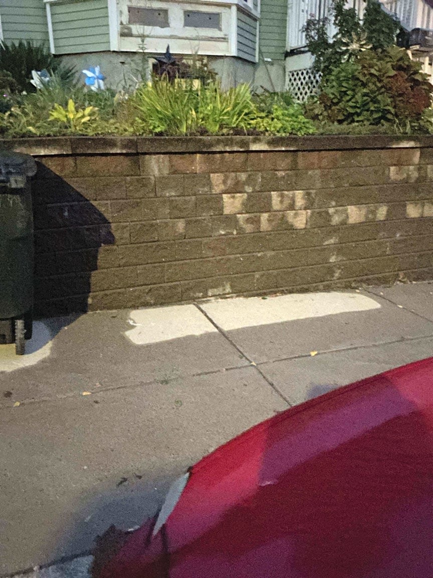 Image submitted with report