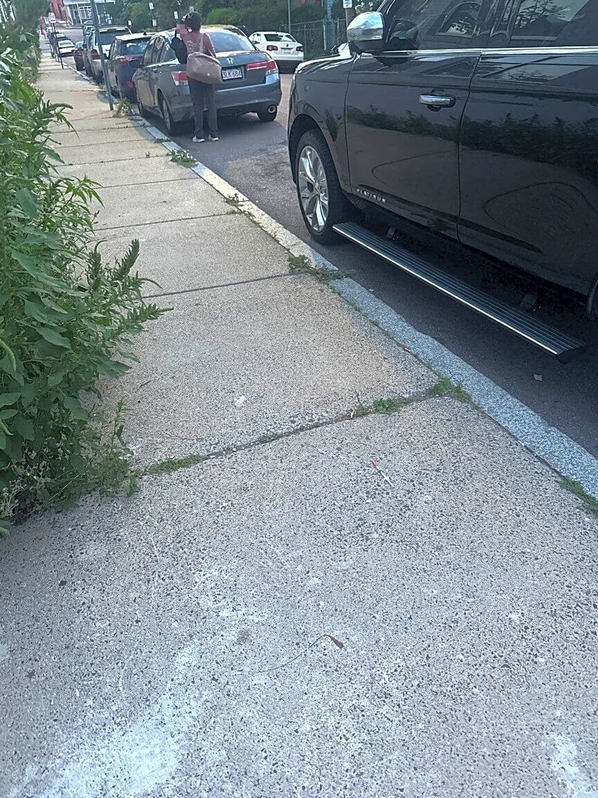 Image submitted with report