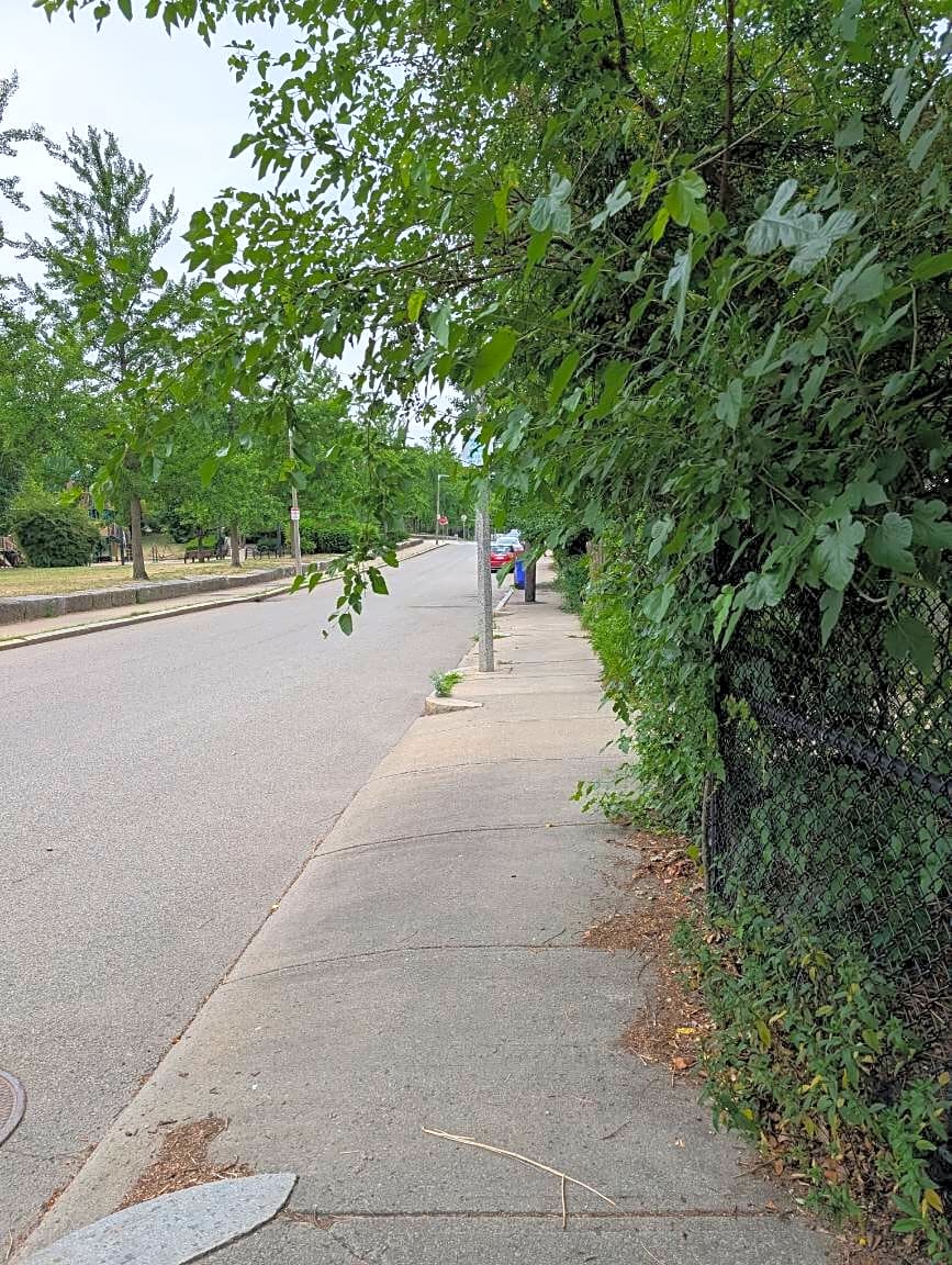 Image submitted with report