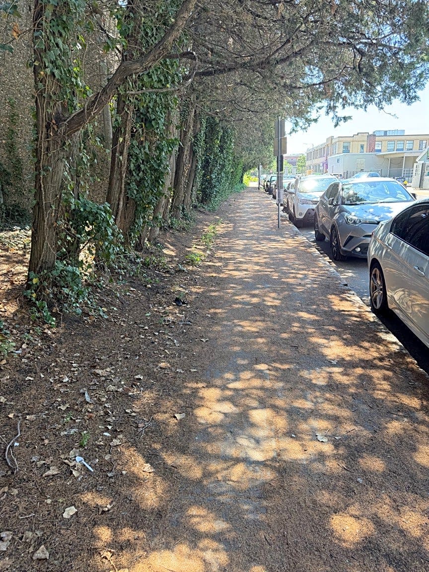 Image submitted with report