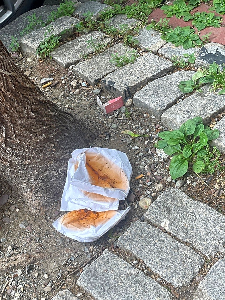 Image submitted with report