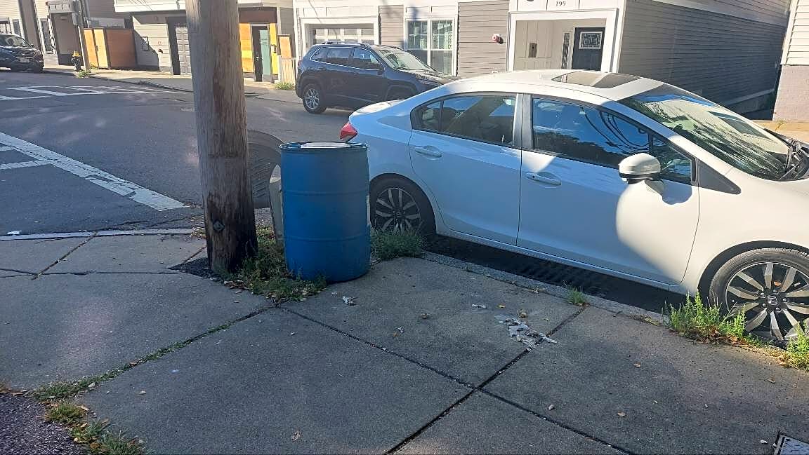 Image submitted with report