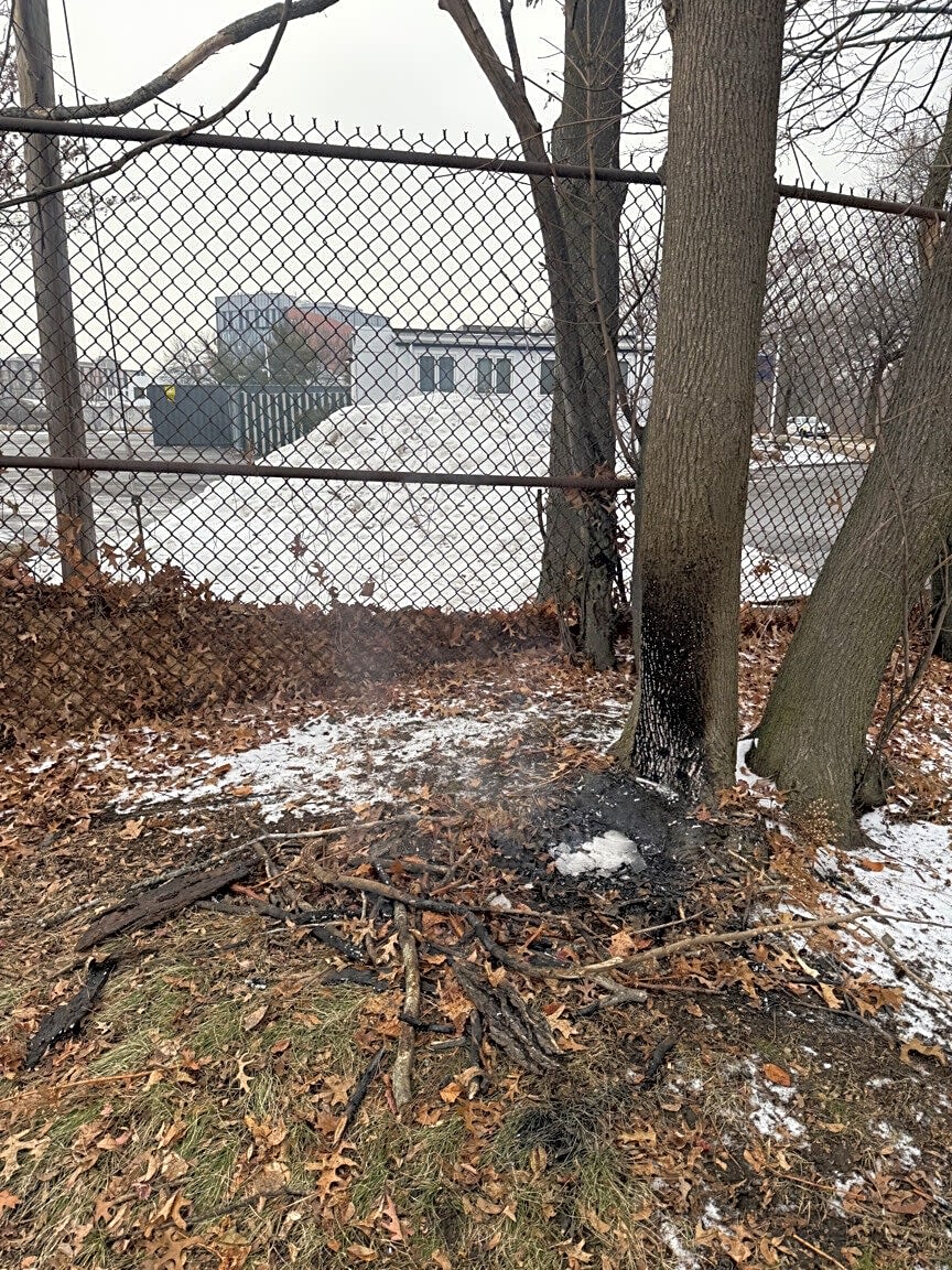 Image submitted with report