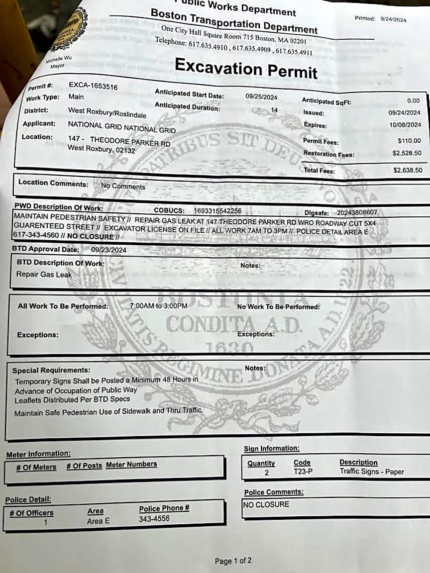 Image submitted with report