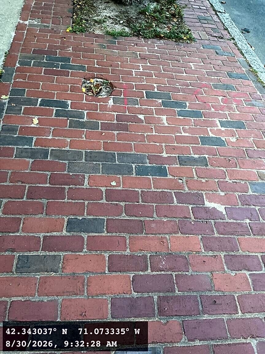 Image submitted with report