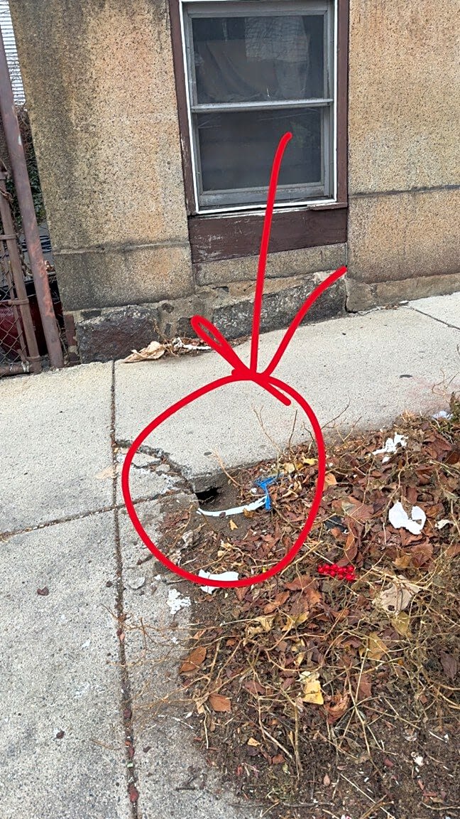 Image submitted with report