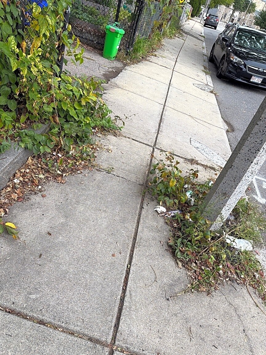 Image submitted with report