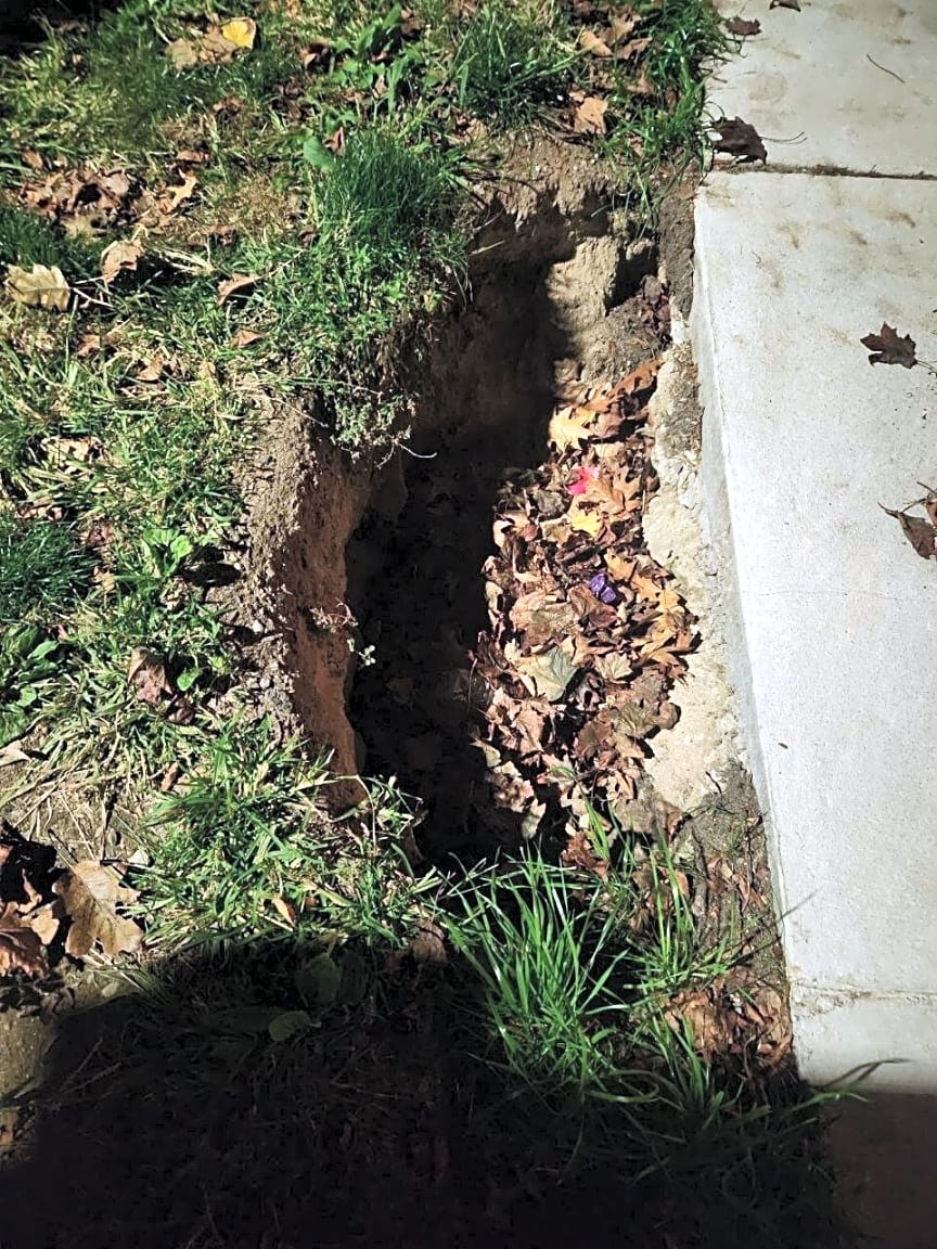 Image submitted with report
