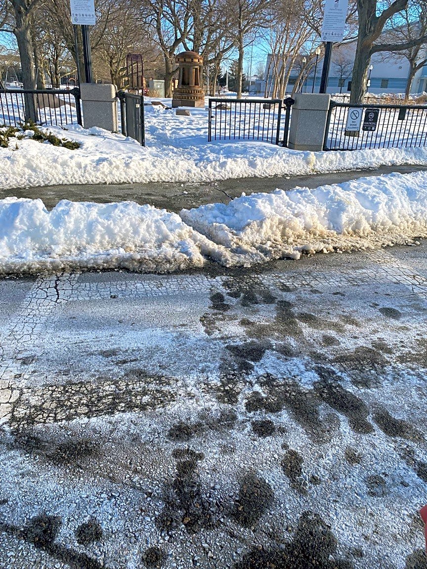 Image submitted with report