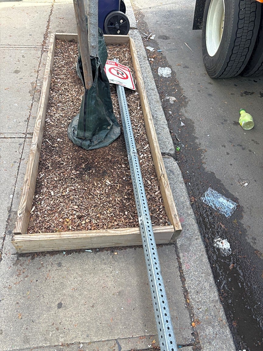 Image submitted with report