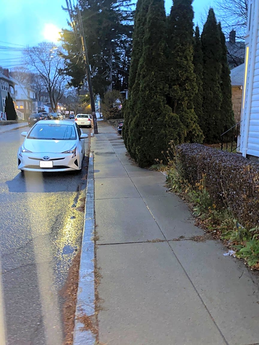 Image submitted with report