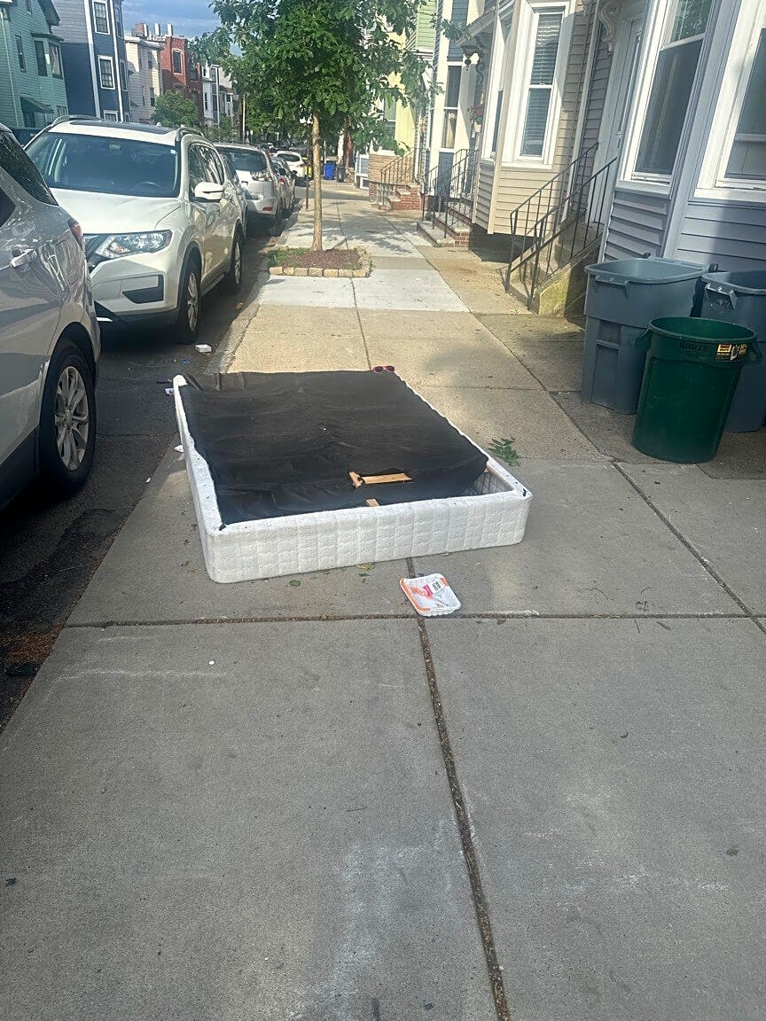 Image submitted with report