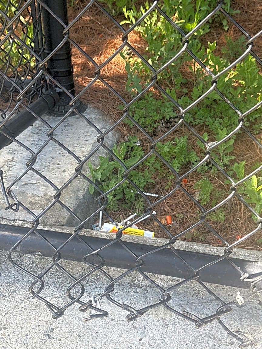 Image submitted with report