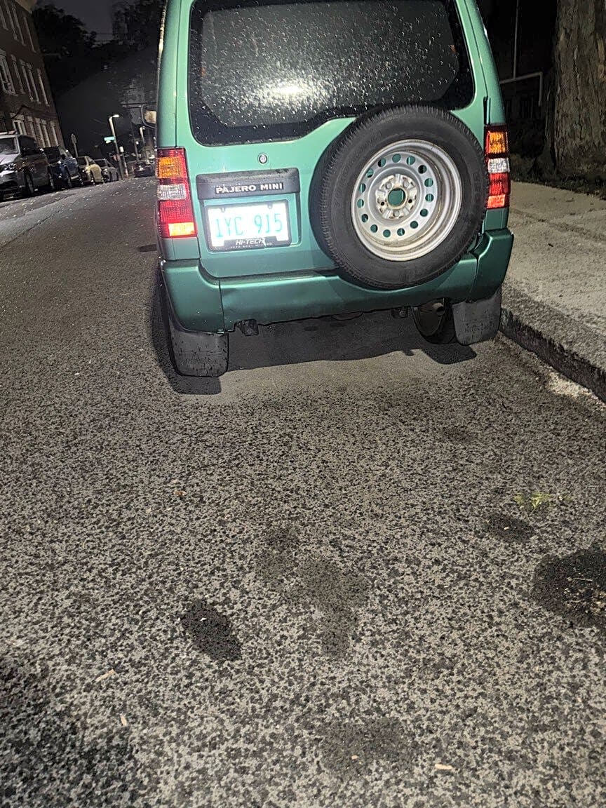 Image submitted with report