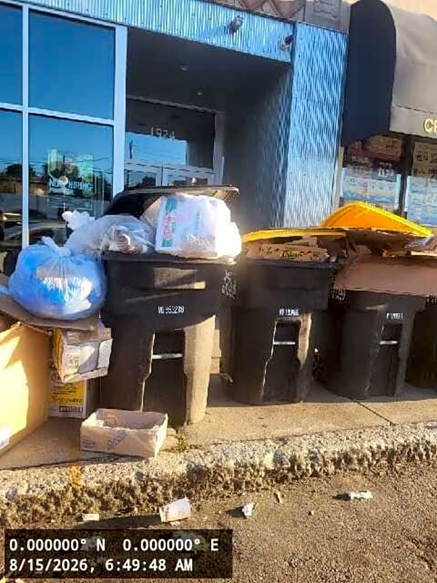 Image submitted with report