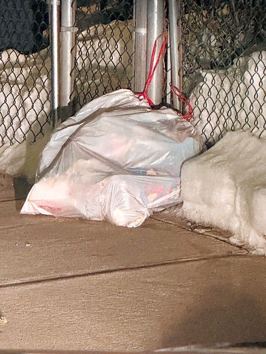 Image submitted with report