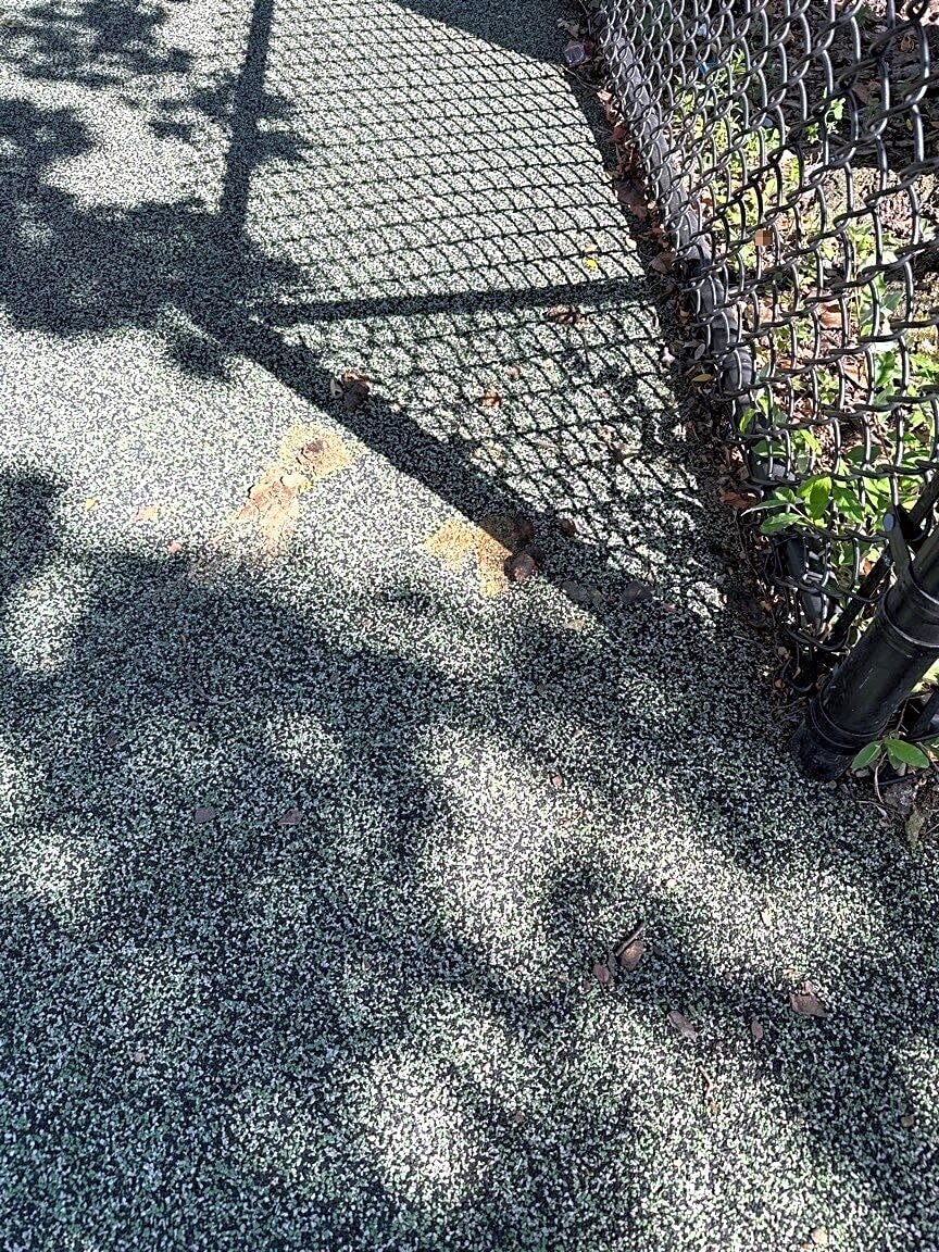 Image submitted with report
