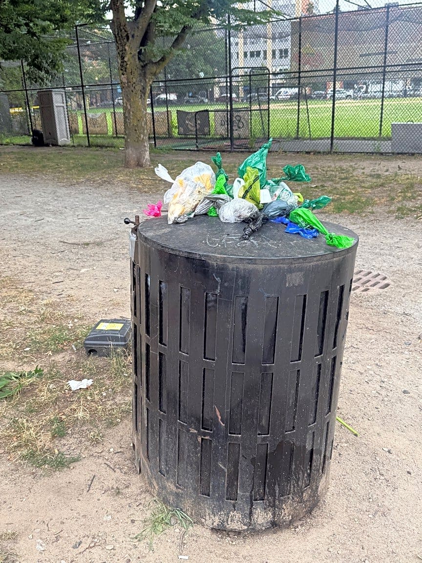 Image submitted with report