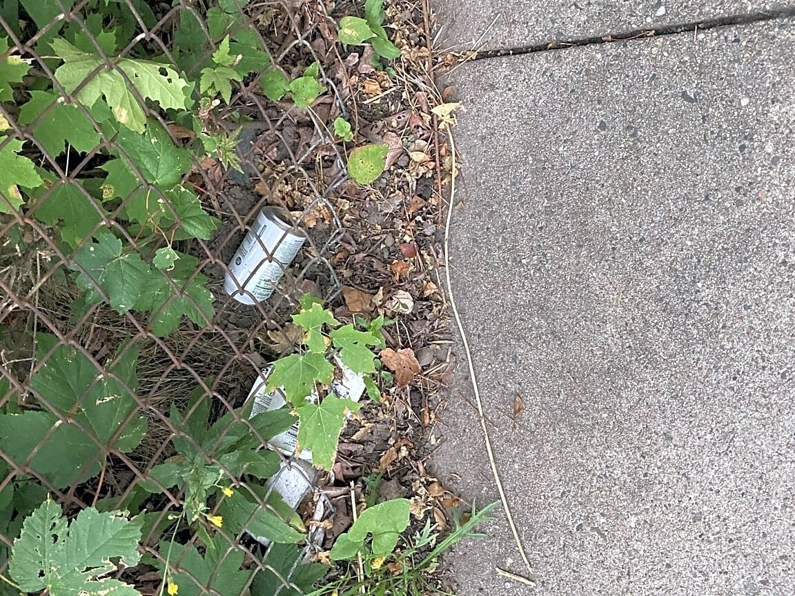Image submitted with report
