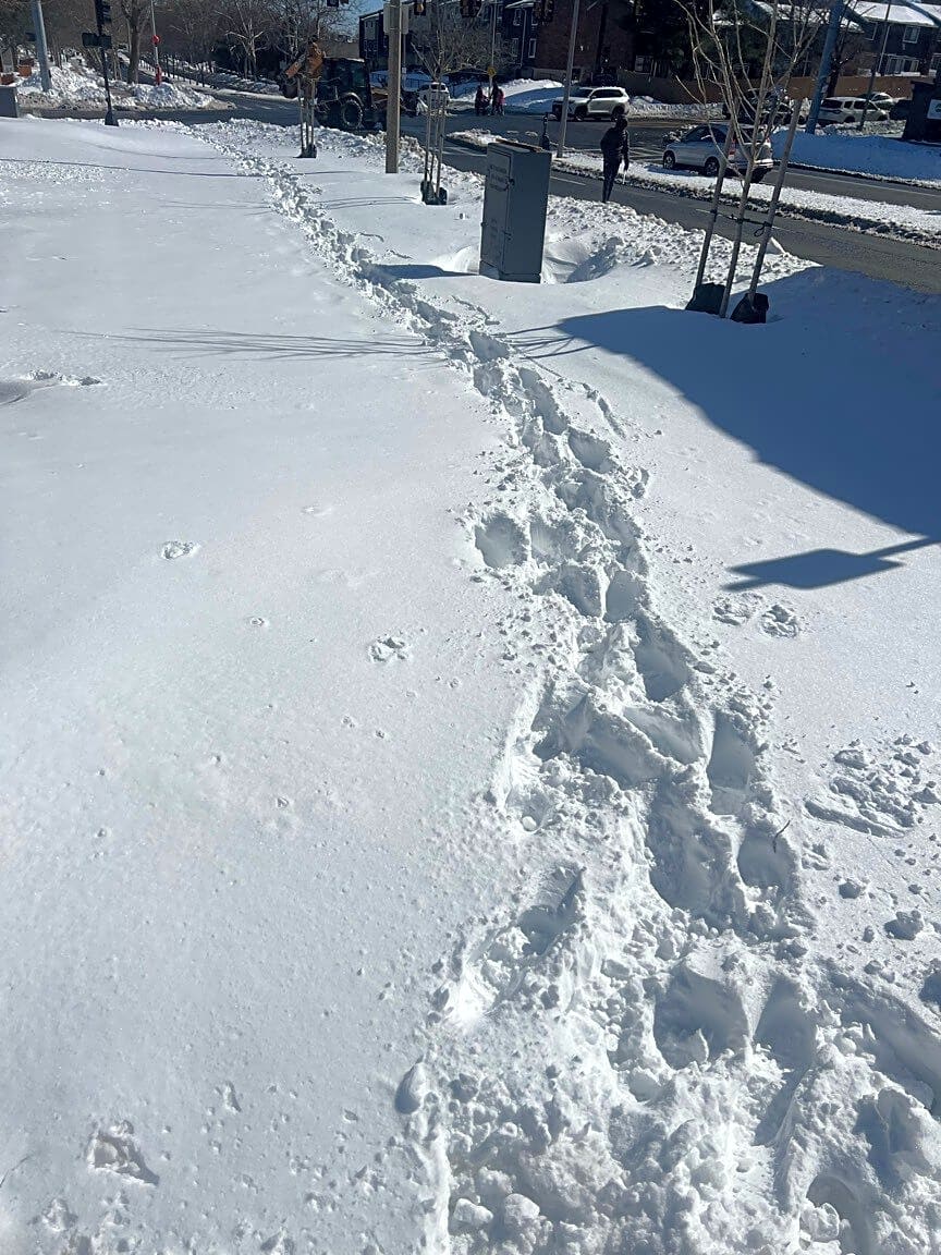 Image submitted with report