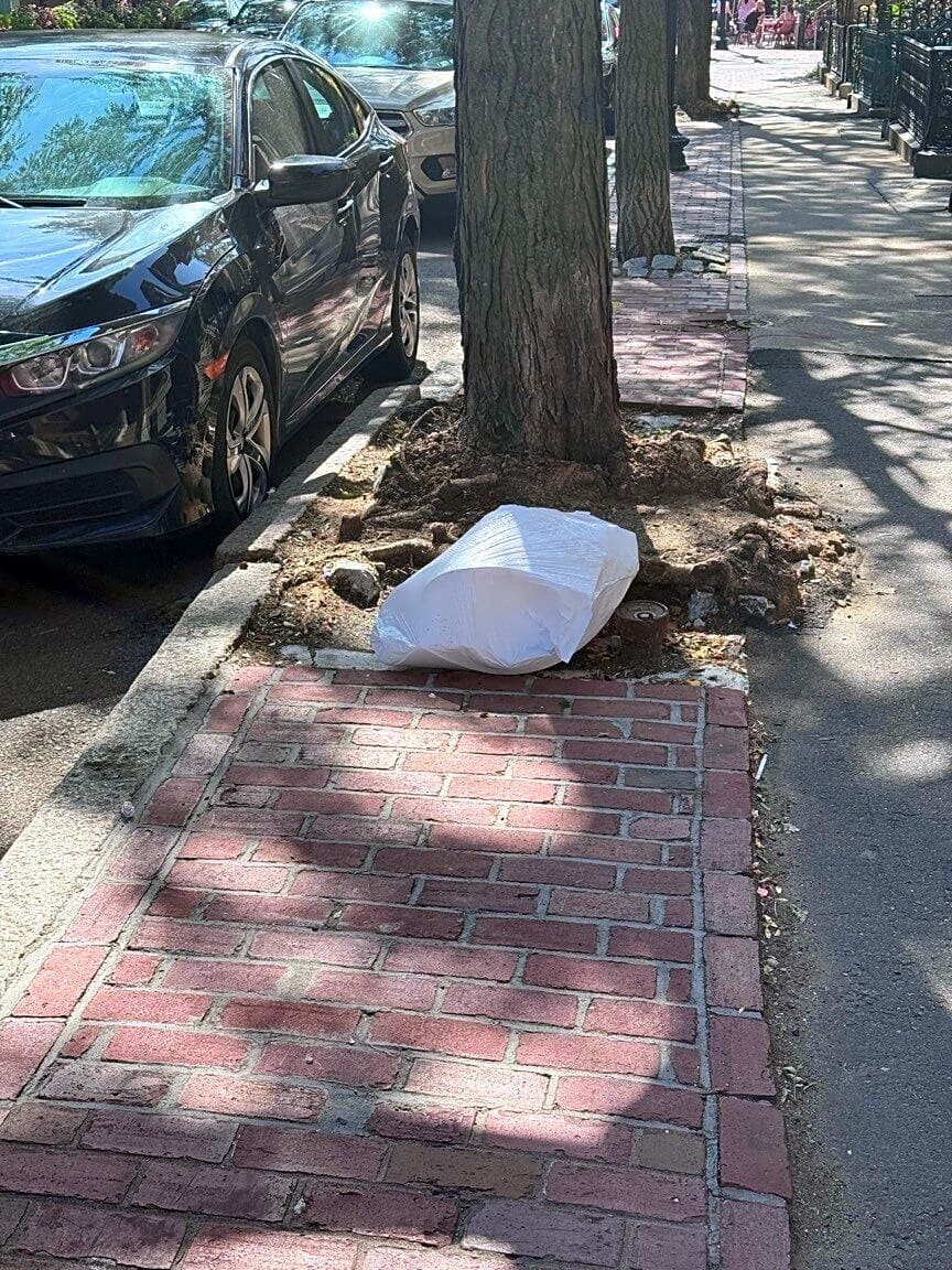 Image submitted with report