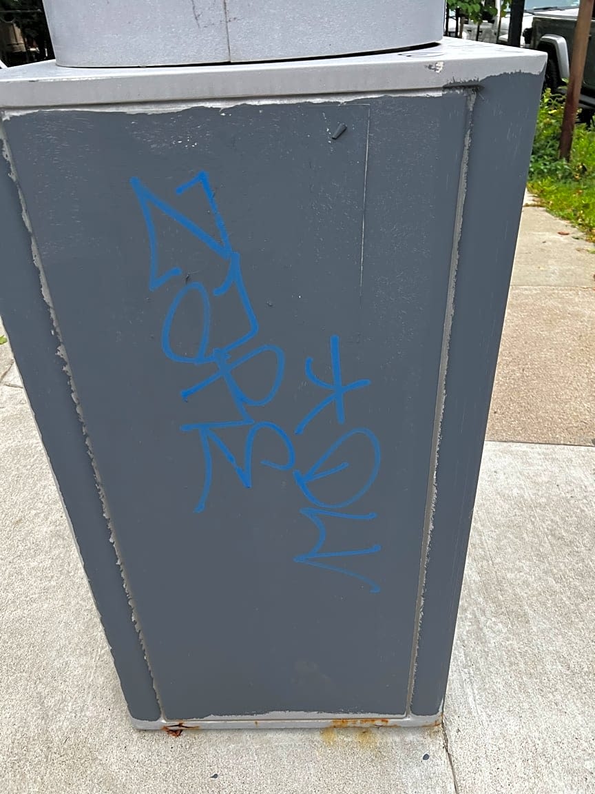 Image submitted with report