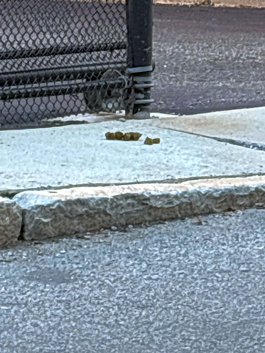 Image submitted with report