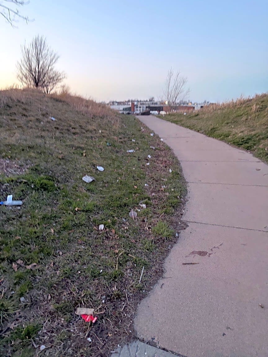 Image submitted with report