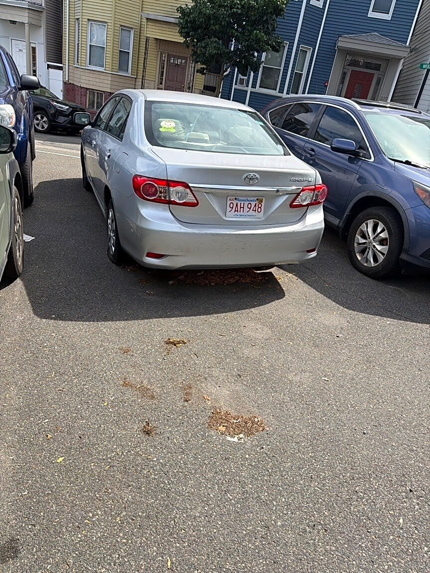 Image submitted with report
