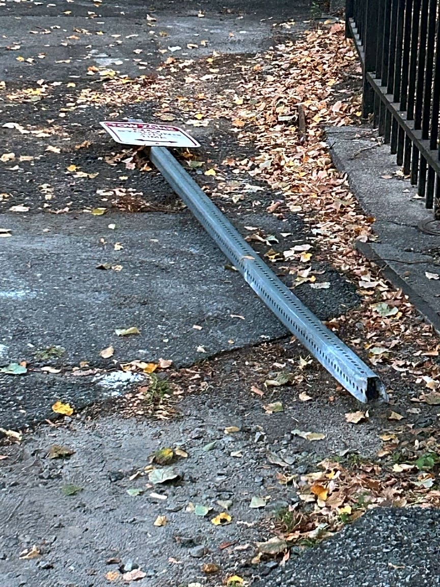 Image submitted with report