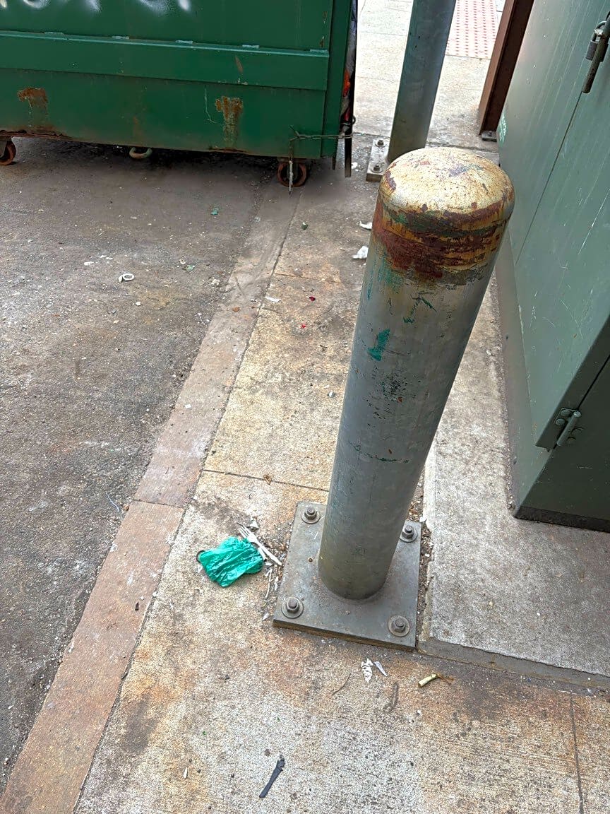 Image submitted with report