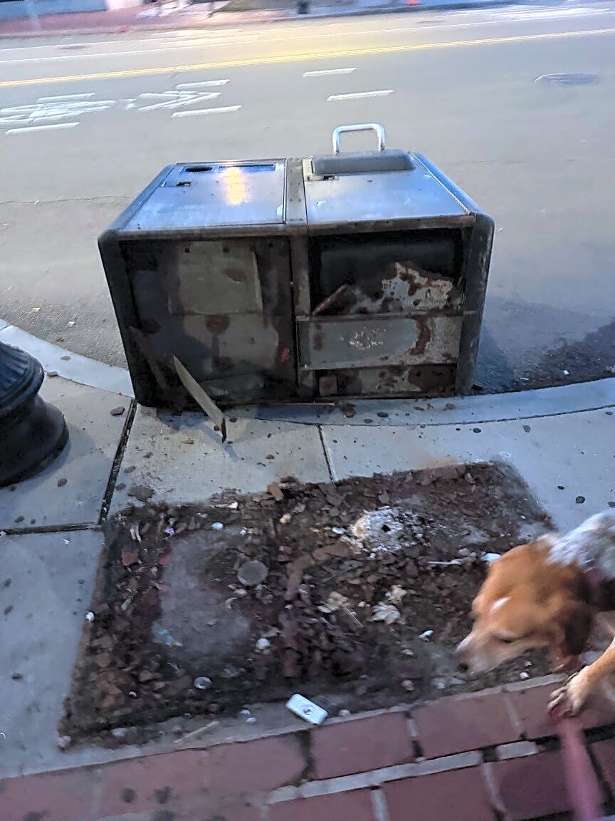 Image submitted with report