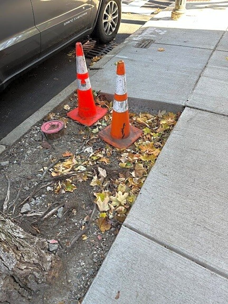 Image submitted with report
