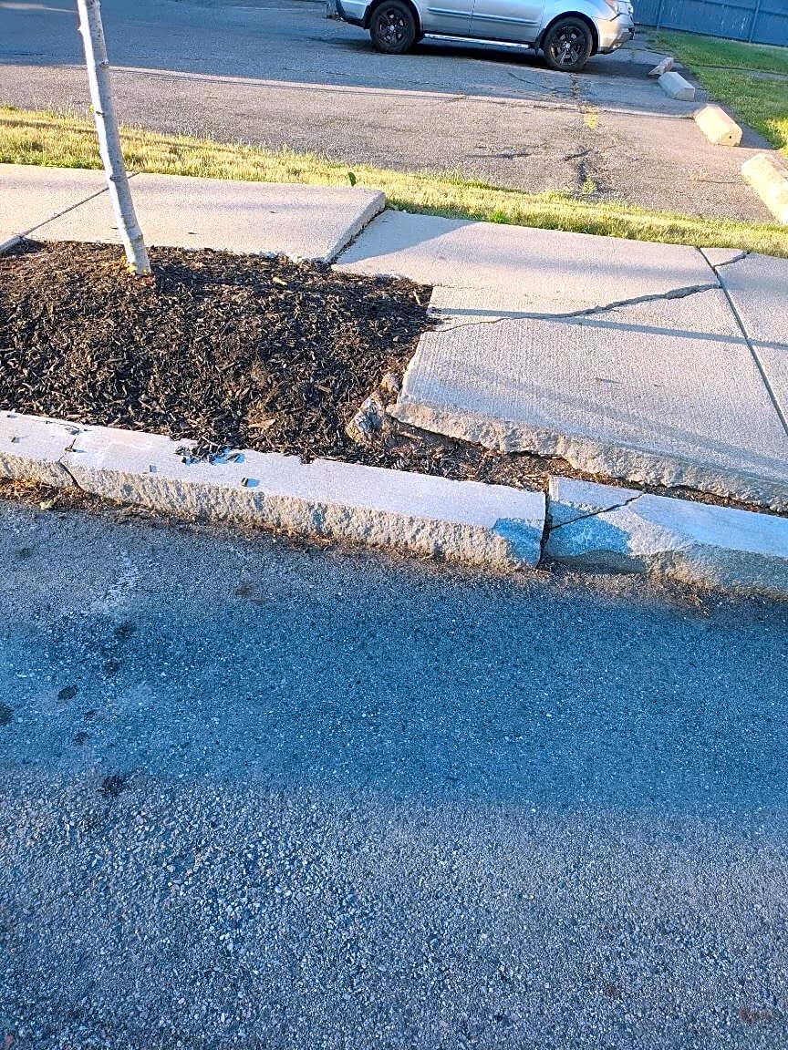 Image submitted with report